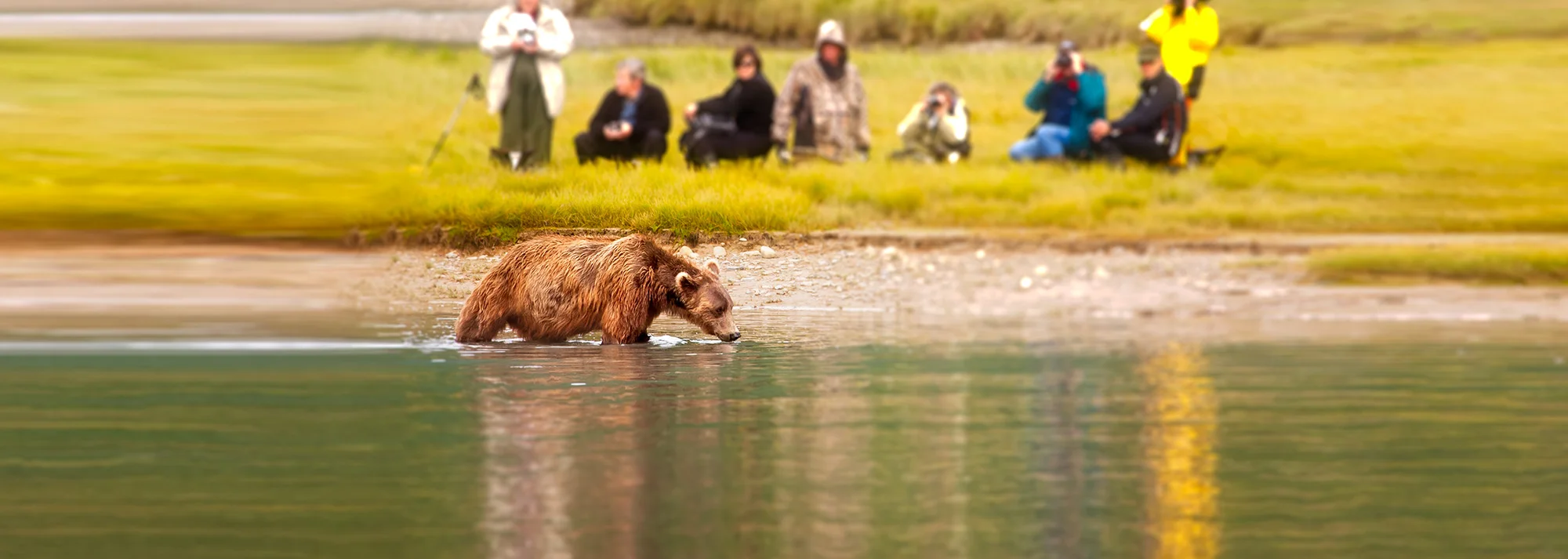 Katmai wilderness lodge   bear viewing in alaska wildlife guides in alaska Katmai Wilderness Lodge   Bear Viewing in Alaska Wildlife Guides in Alaska