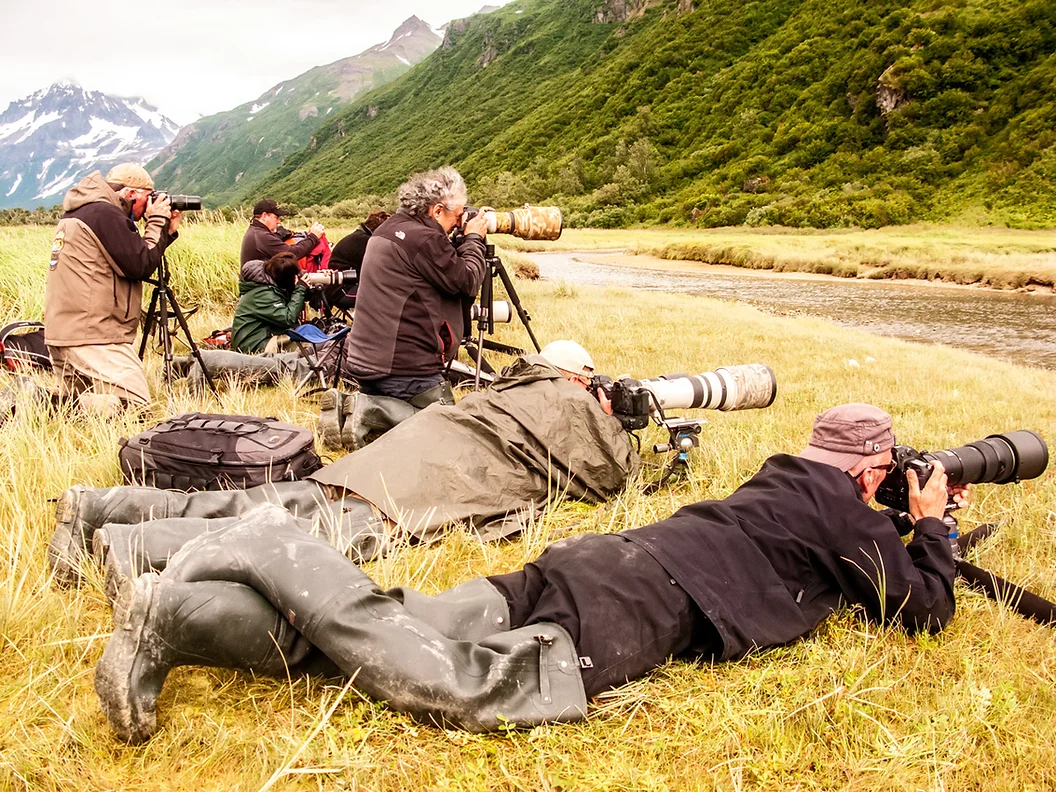 Katmai wilderness lodge   bear viewing in alaska wildlife guides in alaska Katmai Wilderness Lodge   Bear Viewing in Alaska Wildlife Guides in Alaska