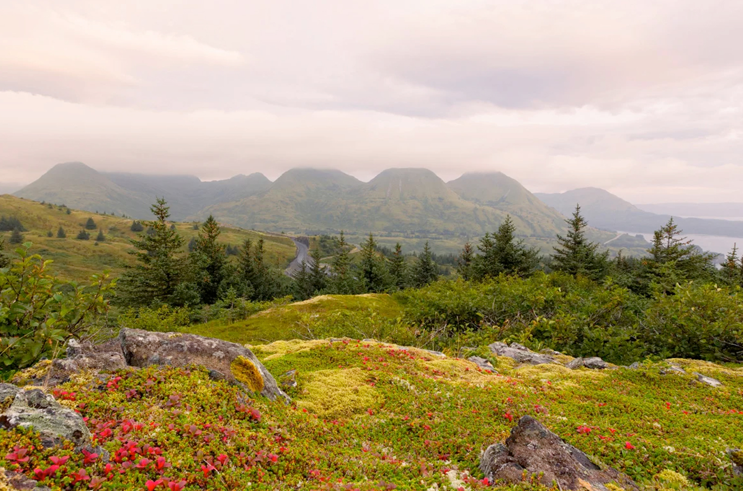 Alaska lodge rates   katmai wilderness lodge Alaska Lodge Rates   Katmai Wilderness Lodge