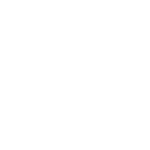 Icon fb 500